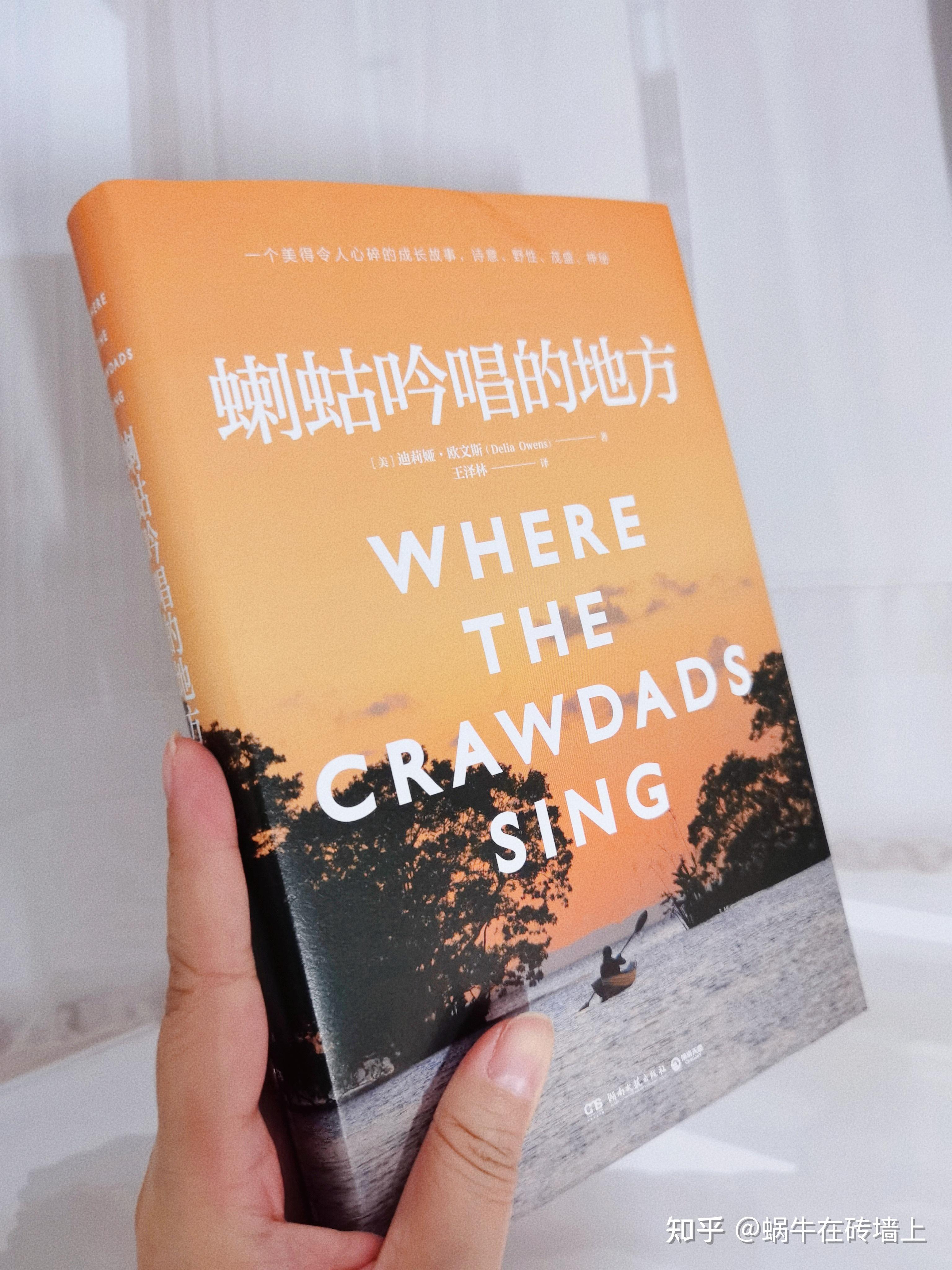 如何通过豆瓣读书推荐找到你的阅读灵感