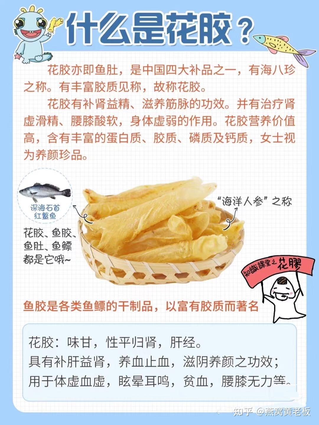 鱼胶的功效与作用图片