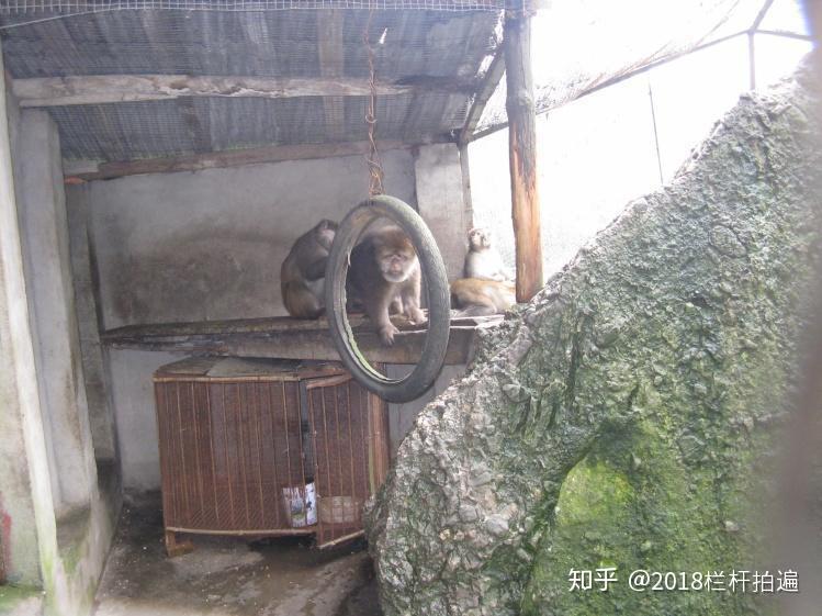 电视剧《西游记》外景地:安县-罗浮山 (中)