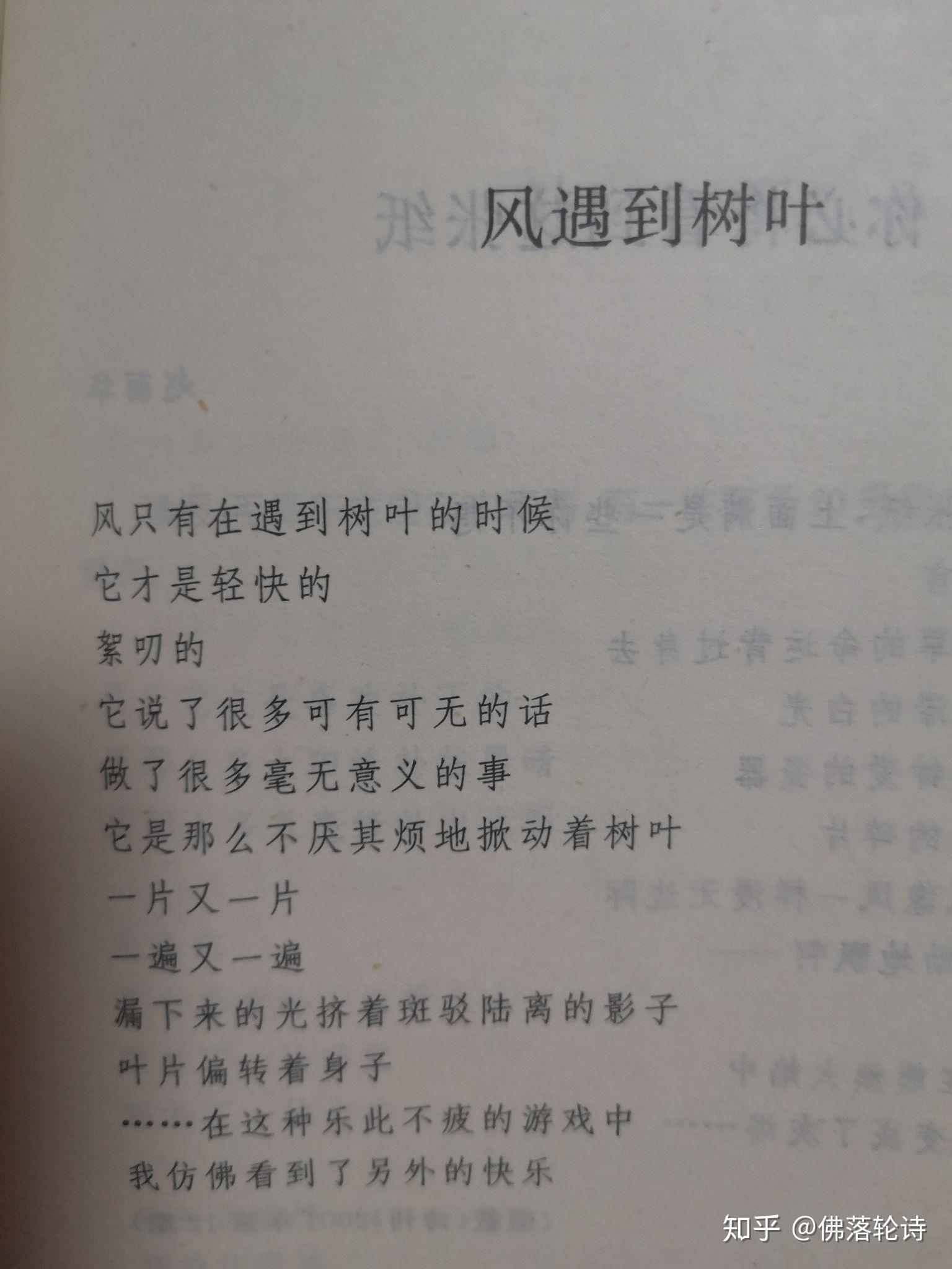 风遇到树叶 - 知乎