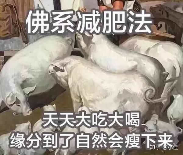 瘦身方案搭配_瘦身方案_瘦身方案演讲