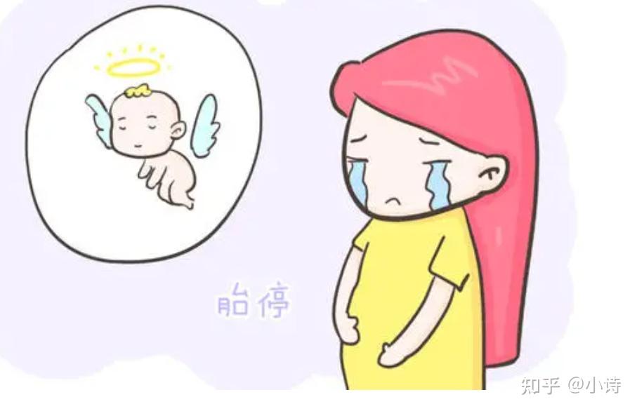 染色体数目异常可以供卵试管吗