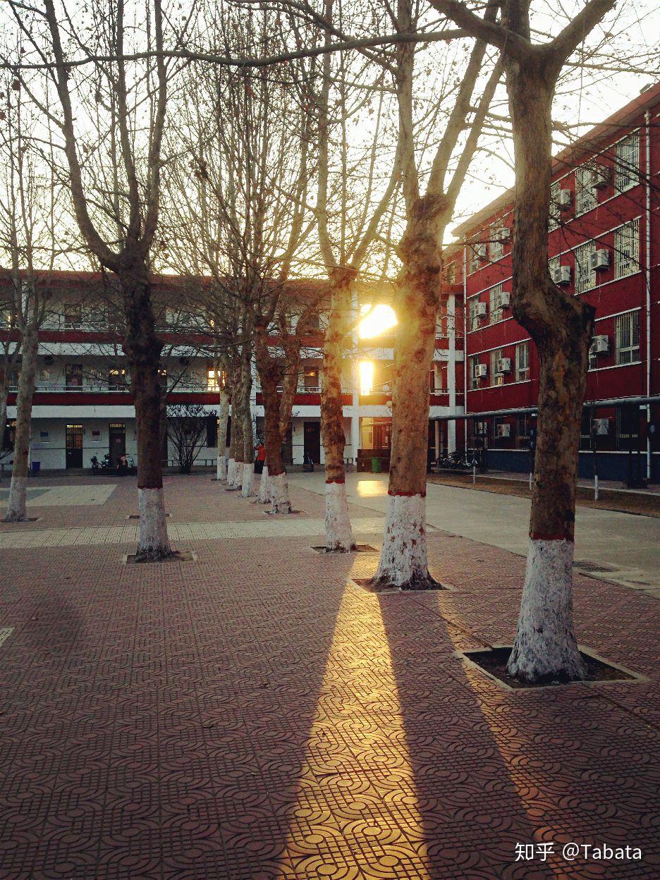 在濮阳市油田第一中学(原中原油田一中)就读是