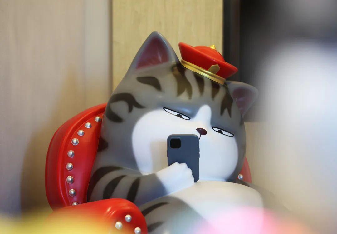 可爱相遇转角间,吾皇猫主题店亮相秦皇岛万豪度假酒店