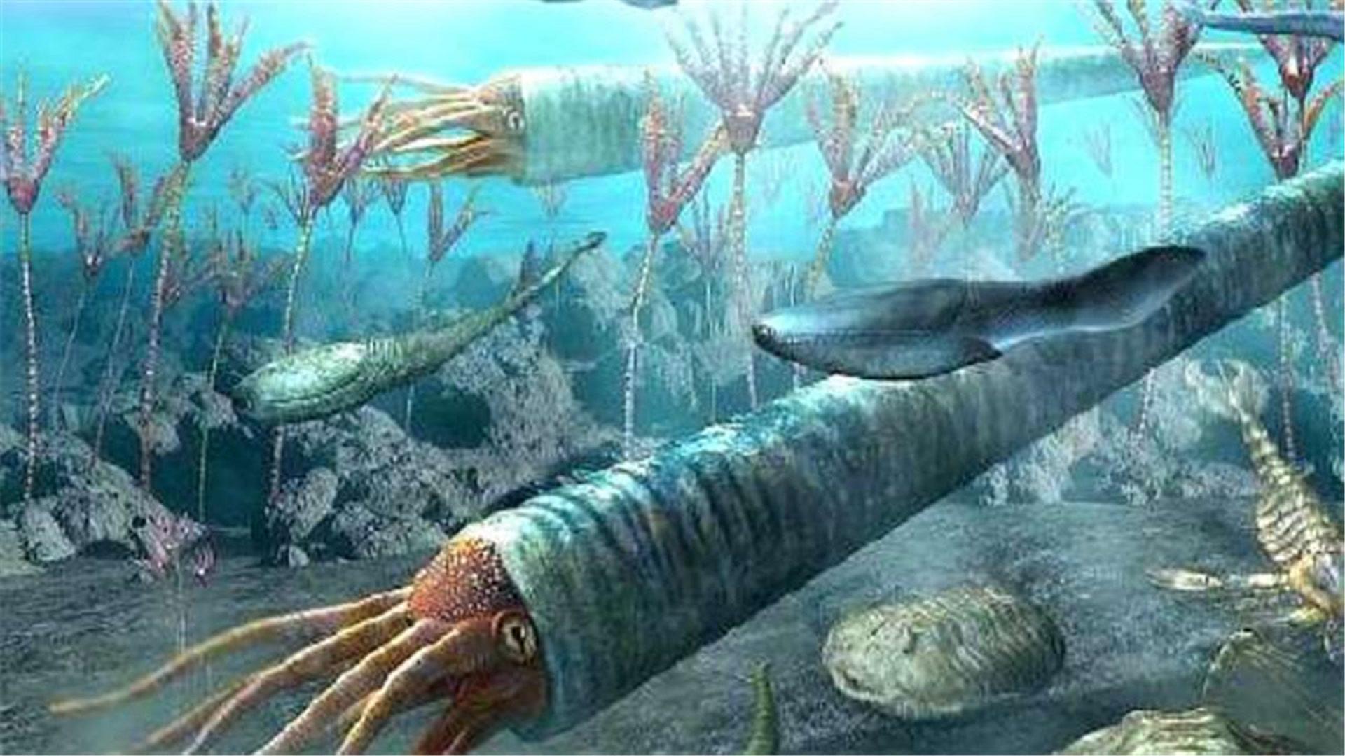 巨型章鱼想拉男子下水最终反被拉上岸这么大一只有口福了