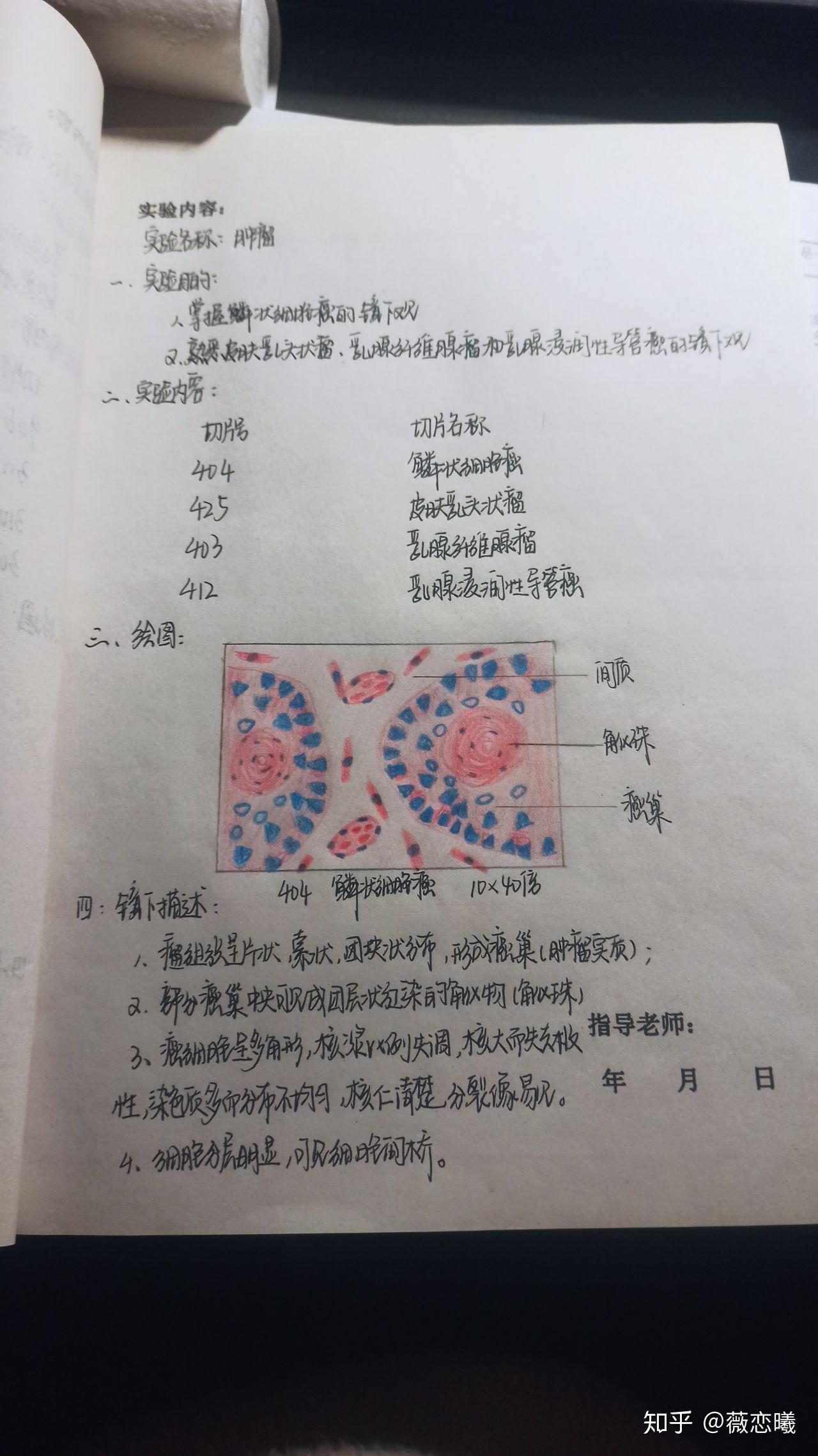 病理学实验报告 - 知乎