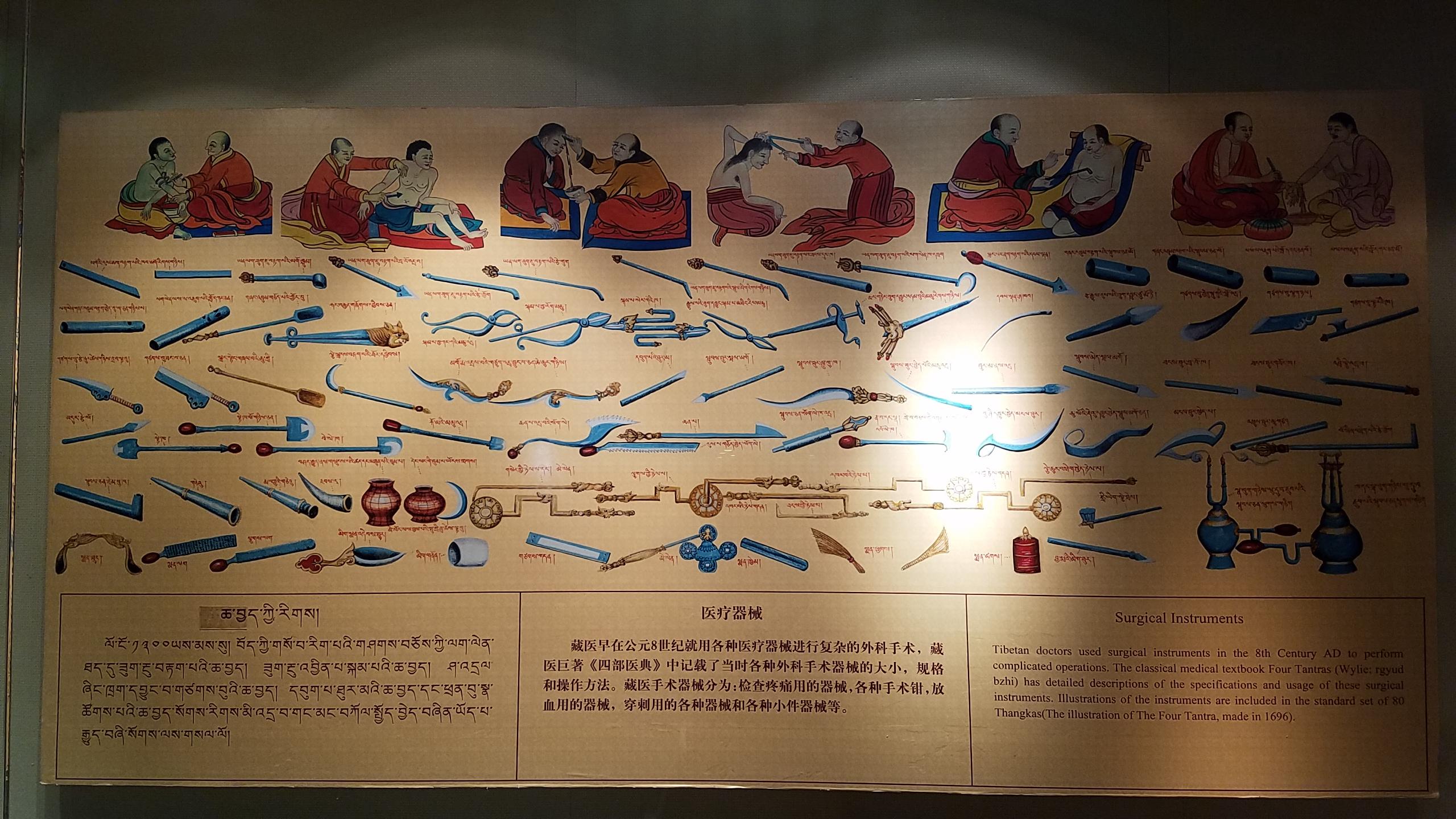 師兄的医疗科普:四大传统医学之“藏医学” - 知乎