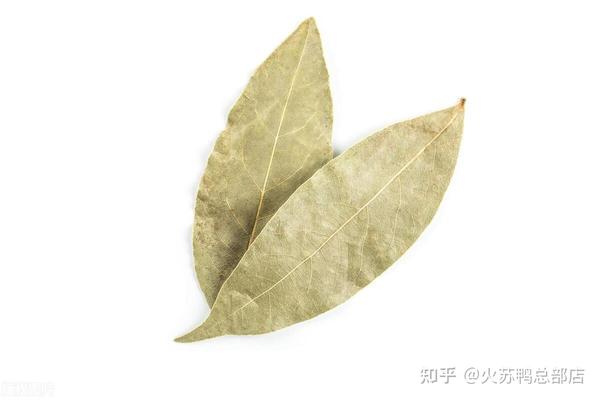 揭开27种常见的调味香料的名称及其作用 - 知乎