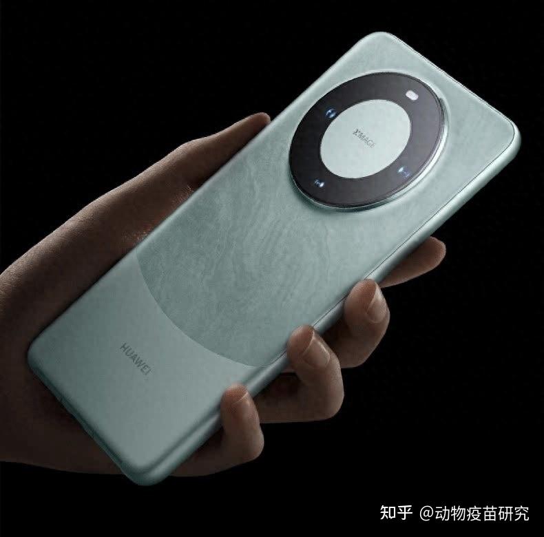 华为10年研发投入近万亿向死而生重回c位研发投入动物疫苗高质量发展