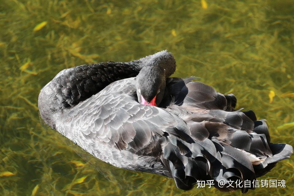 为何要相信天道轮回 知乎