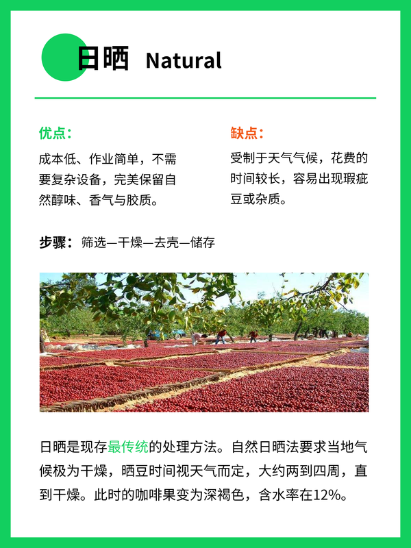 咖啡知识📖｜水洗🆚日晒有什么区别 - 知乎