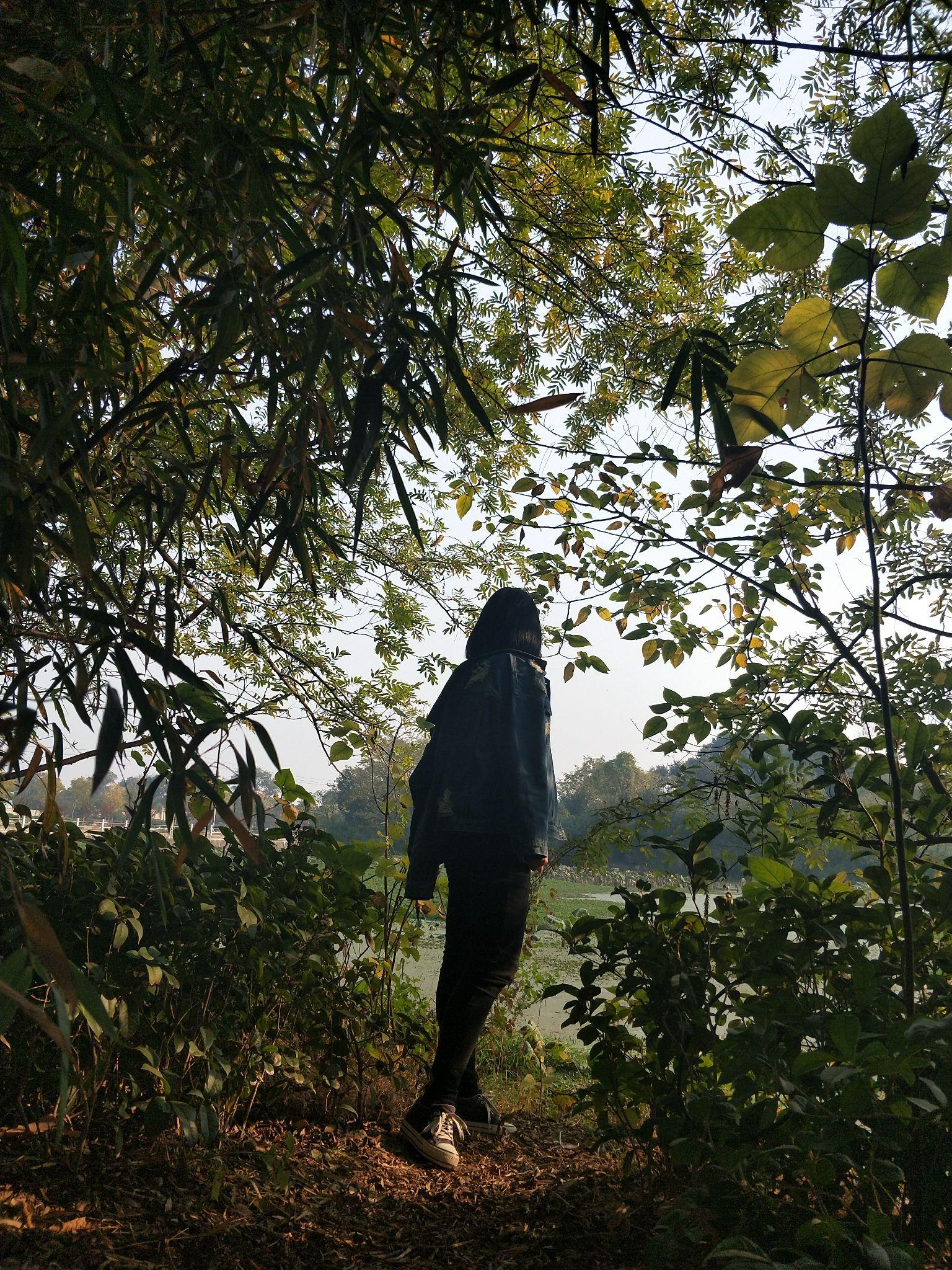 你最喜欢的背影照片是哪张?