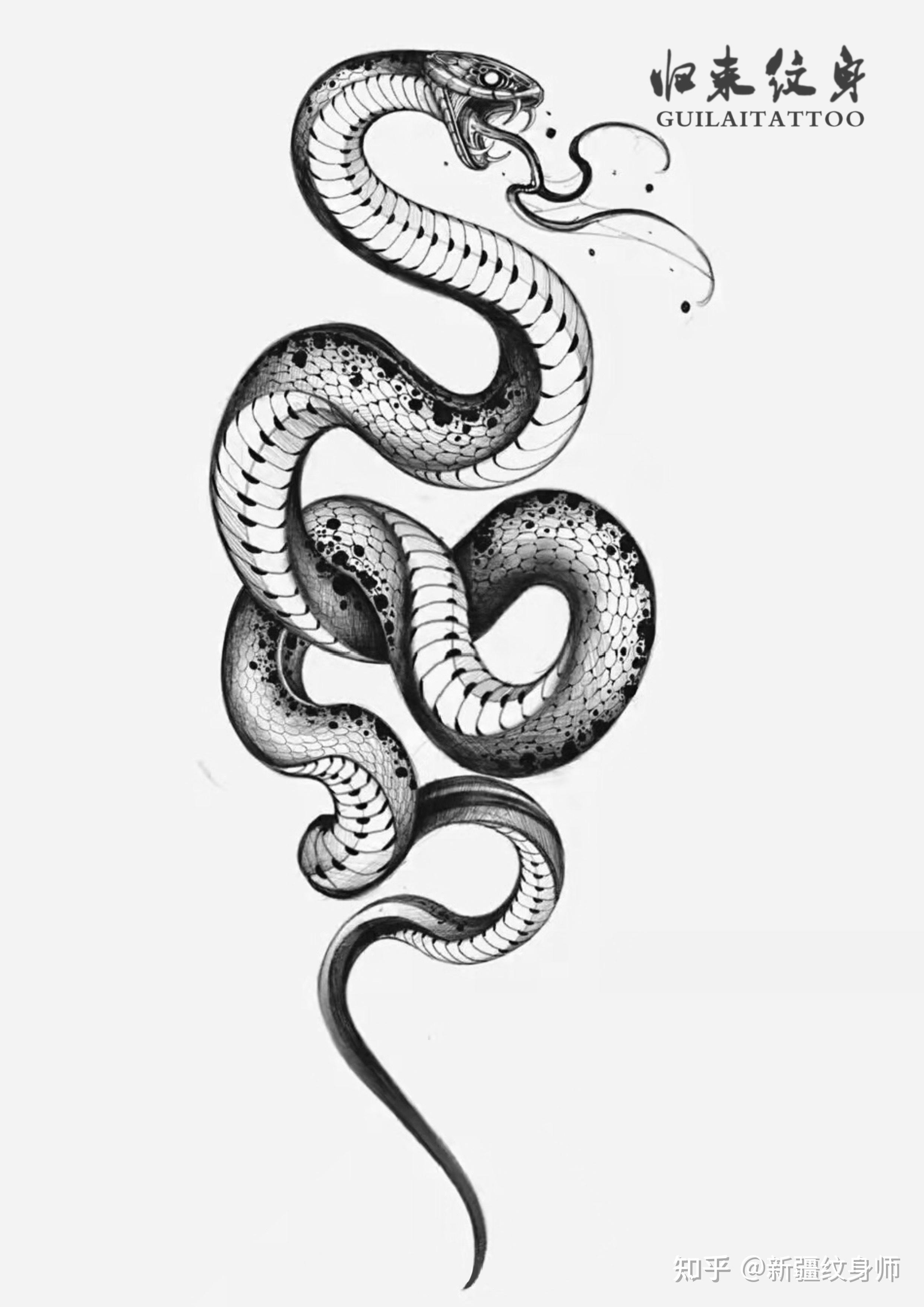 博伊卡蛇纹身手稿图片