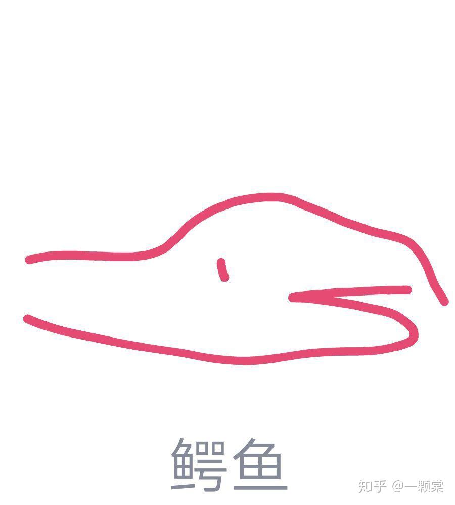 qq红包鳄鱼怎么画在线等急