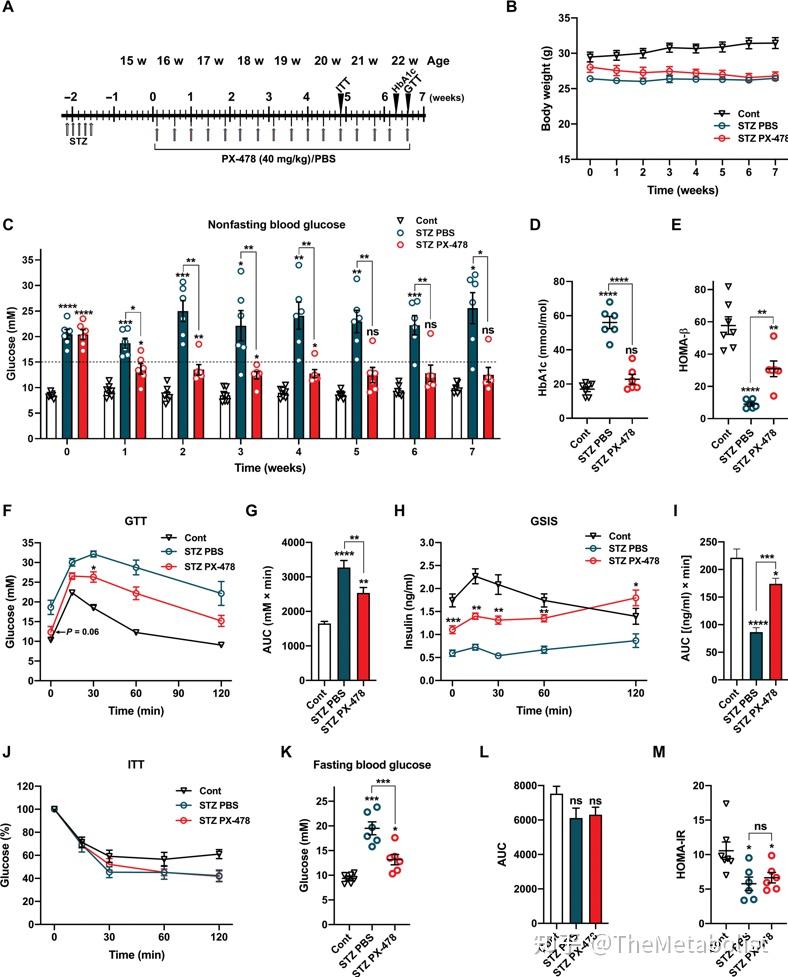 代谢学人sciencetranslationalmedicinehif1α抑制剂px47