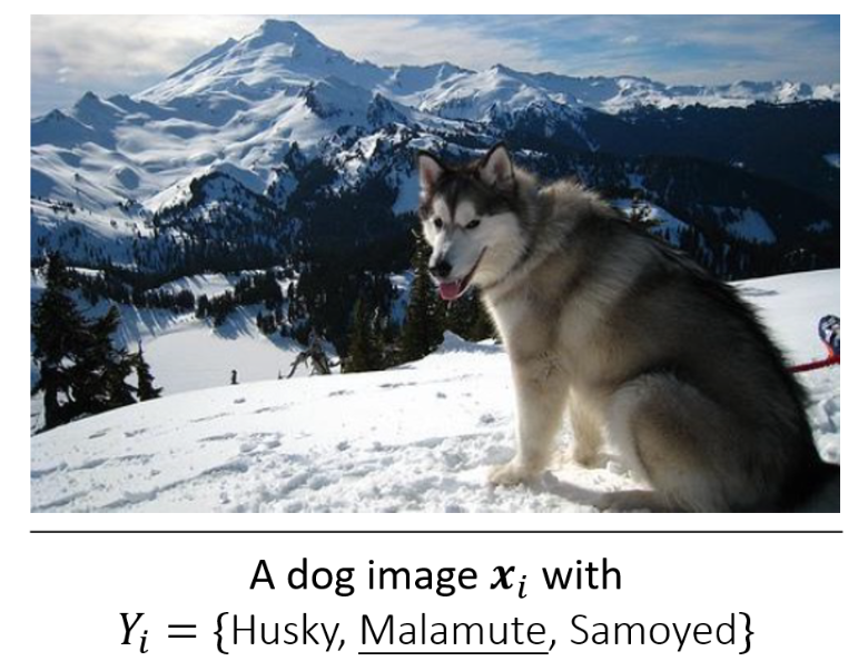 [CVPR2024] CroSel: Cross Selection of Confident Pseudo Labels for ...