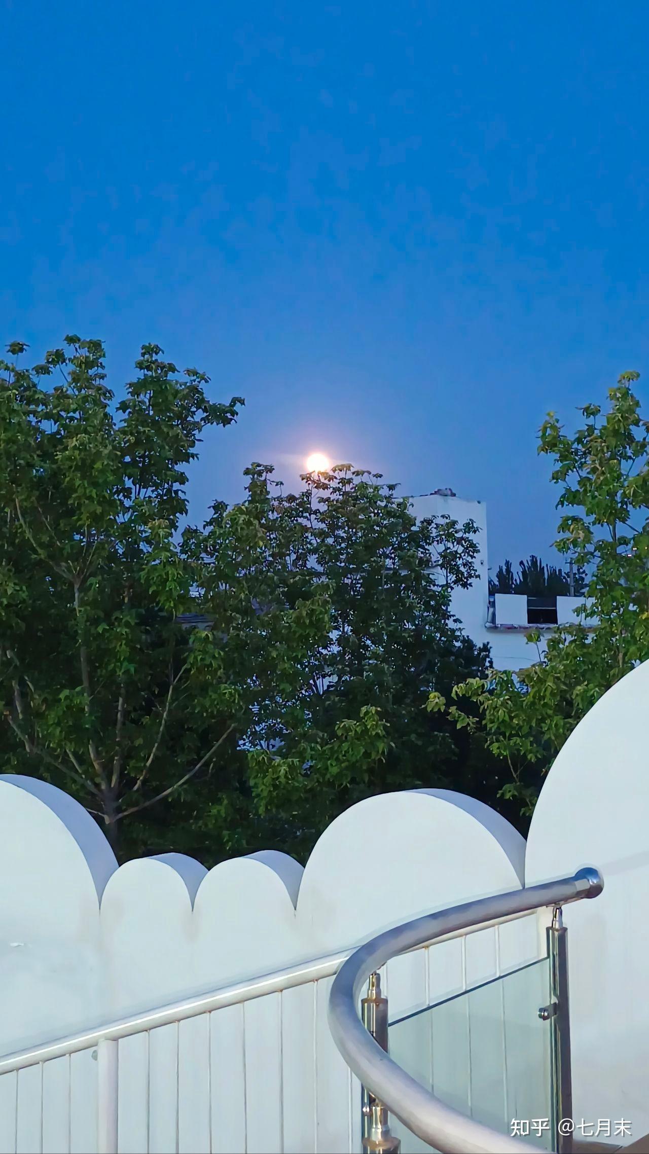 【软件测试百科】 Beta 测试 - 知乎