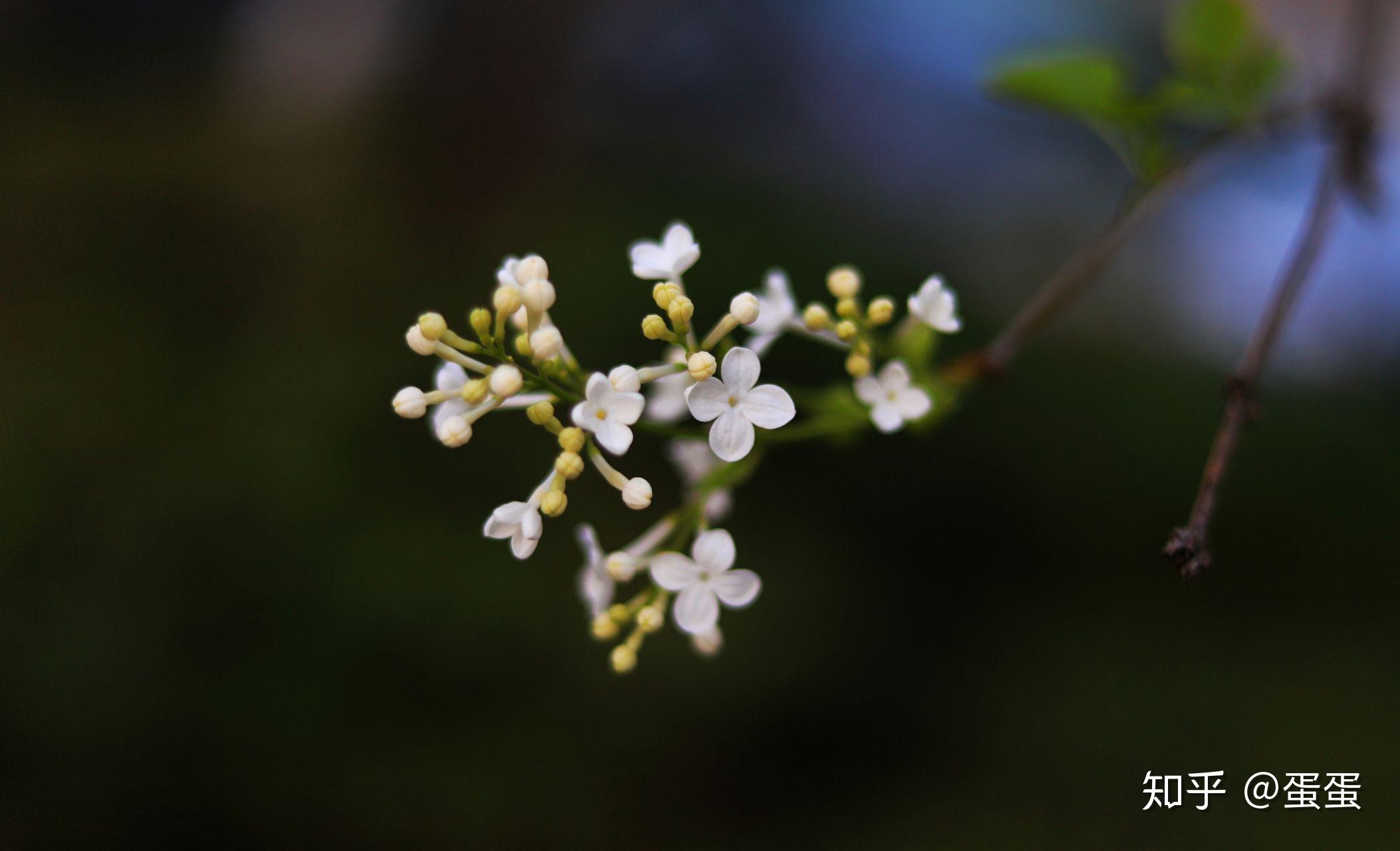 你手机中有哪些很棒很漂亮的照片?