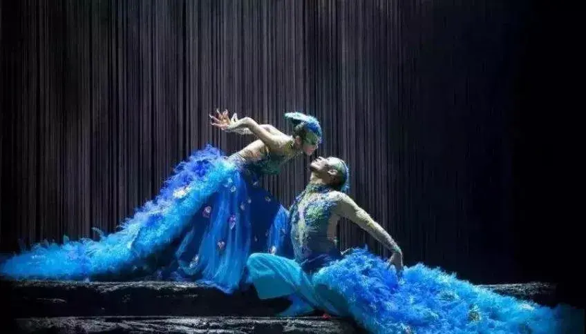 杨丽萍牛舞无缘春晚一次突破未成却让我们看到那只孔雀一直在努力开屏