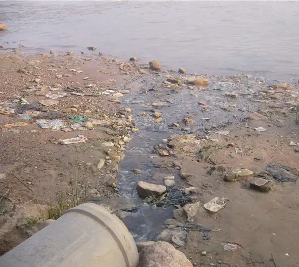 破坏生态环境要负什么责任民法典告诉你