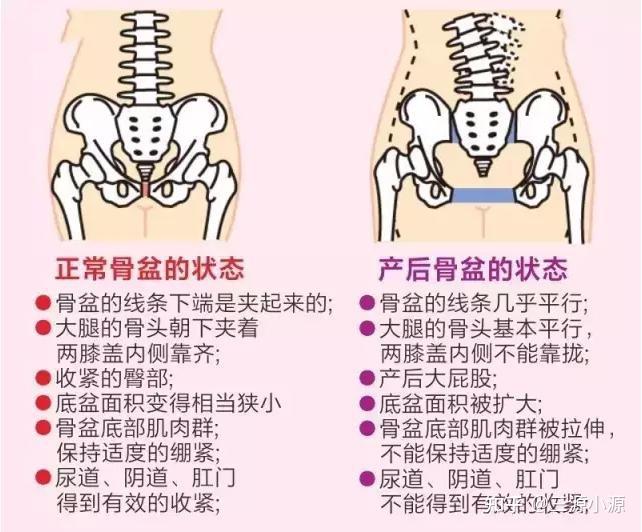 我們正常胯部應該在大腿以上,是盆骨外側的最高點,在髂骨兩側,這樣會