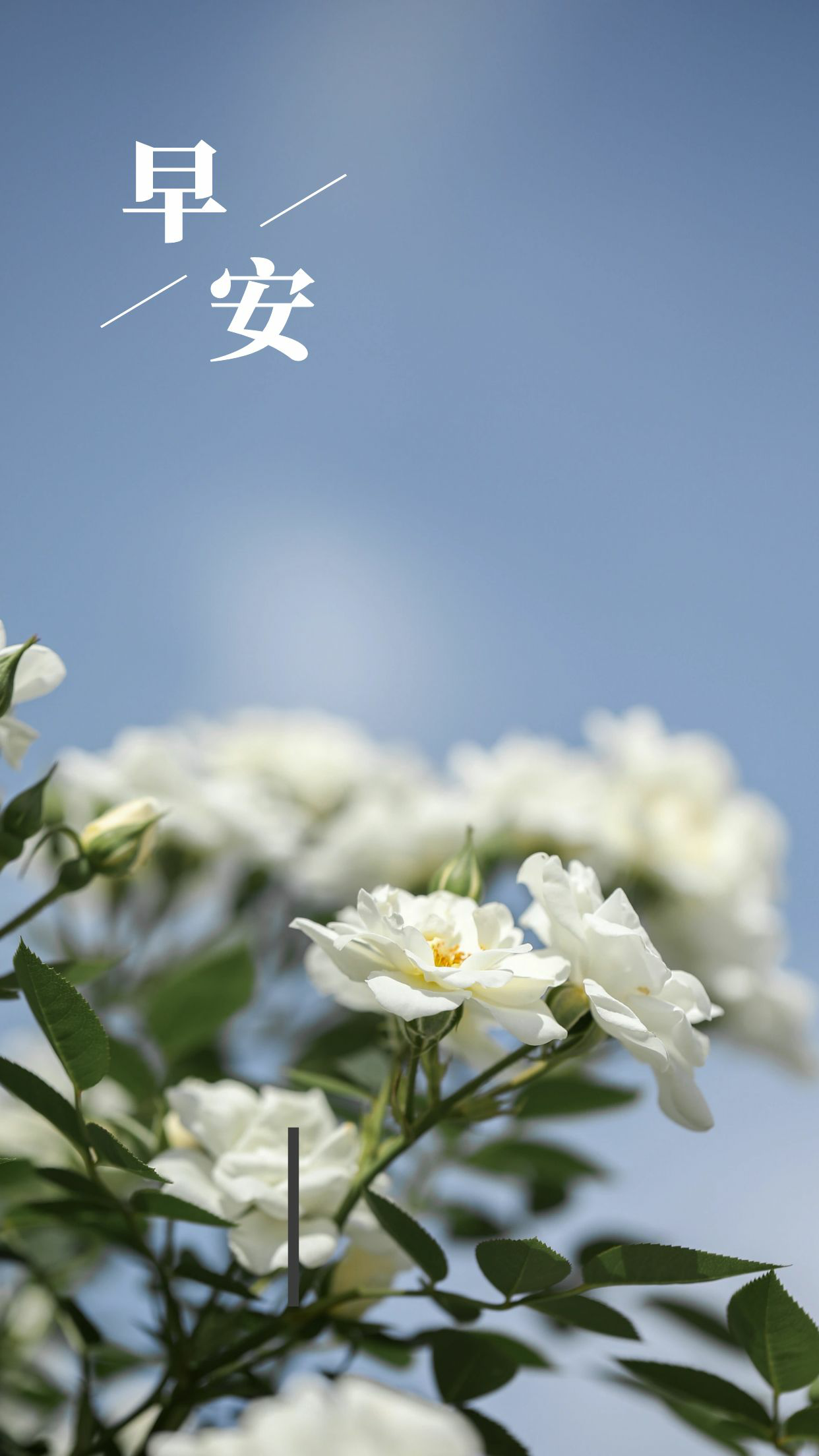 早上好，新的一天，美好的一天- 知乎