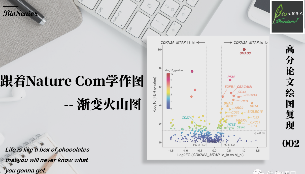 生信常用分析图形绘制01 -- 各种类型的热图!你学会了吗? - 知乎