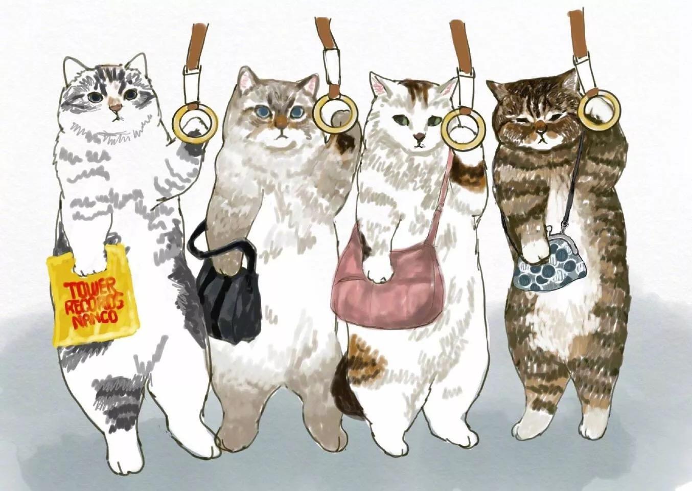 高清猫咪手机壁纸卡通图片