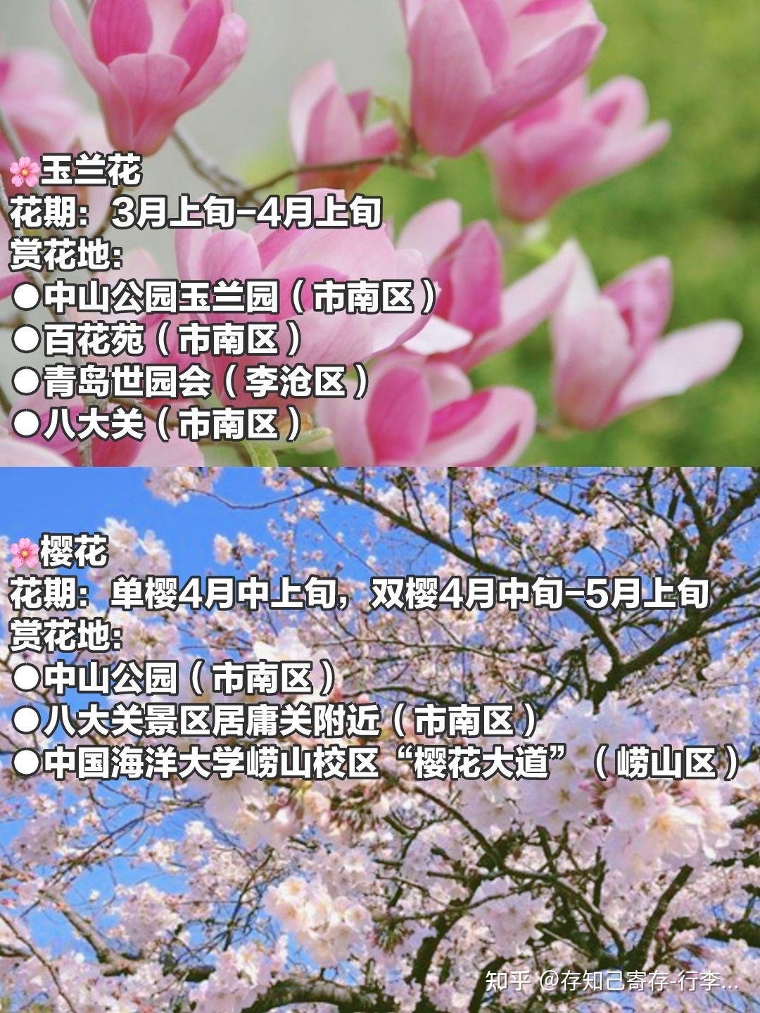 收藏！北京赏花地图上线，27个最美赏花点等你来_北京日报网
