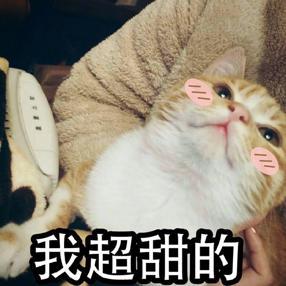 什么是爱?爱一个人是什么感觉?