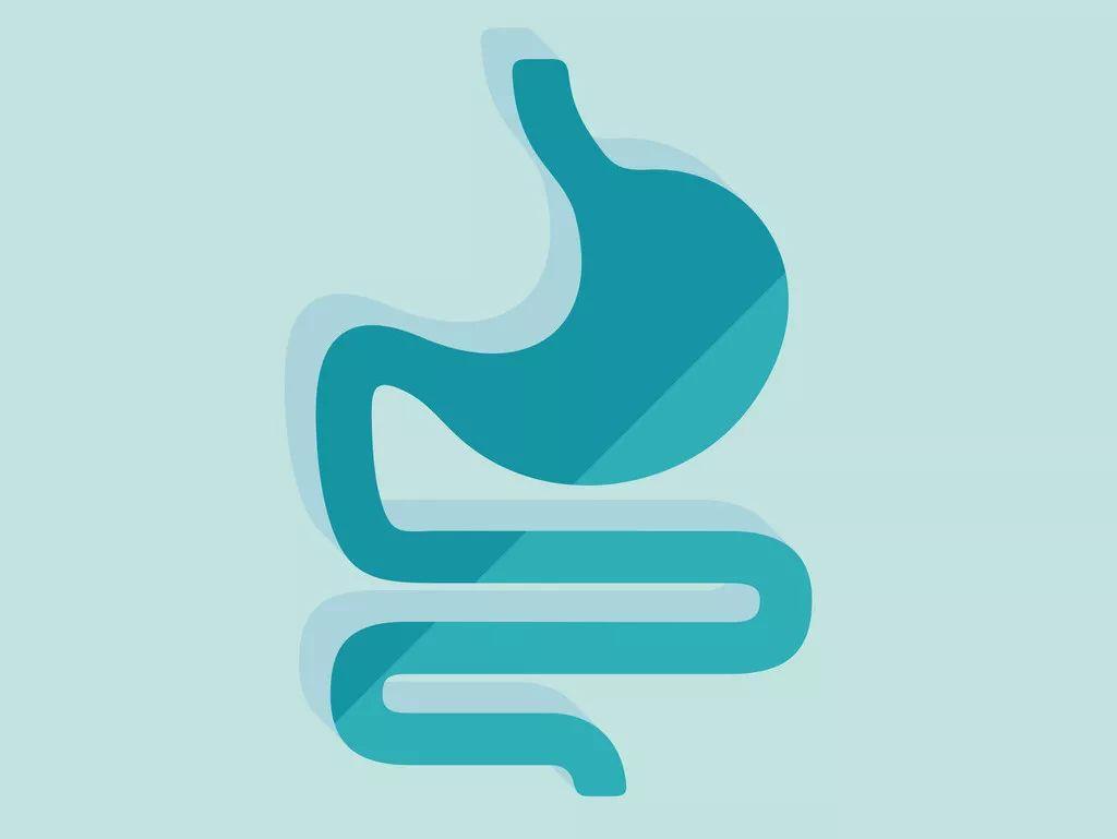 饭后饱胀不适常见助消化药有这些搭配禁忌和注意都在这了