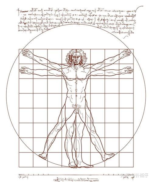 公元15世纪,意大利画家列奥纳多·达·芬奇发现大自然的比例刚好为1