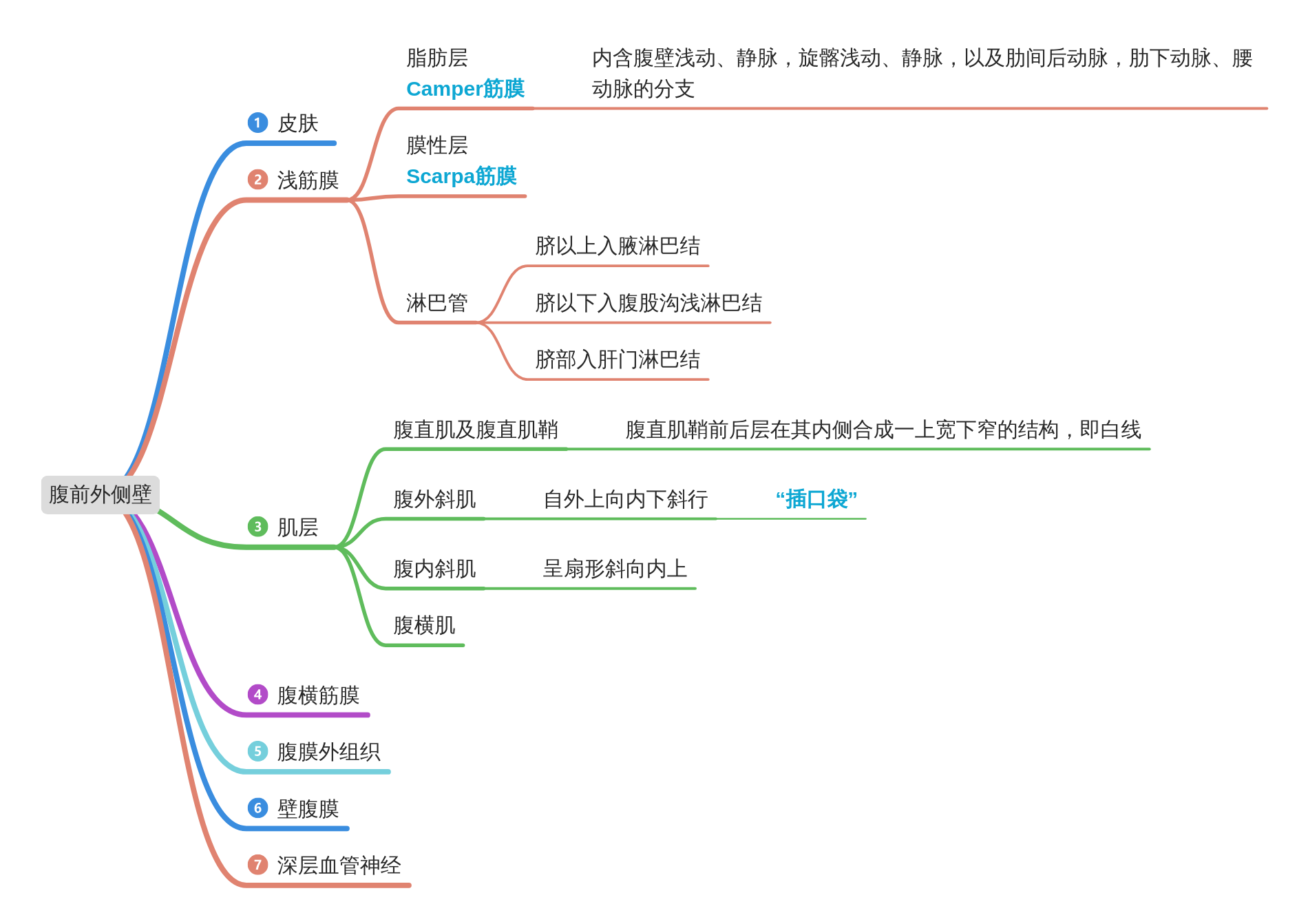 小白医学生笔记 (9)局部解剖学 | 打油诗 思维导图
