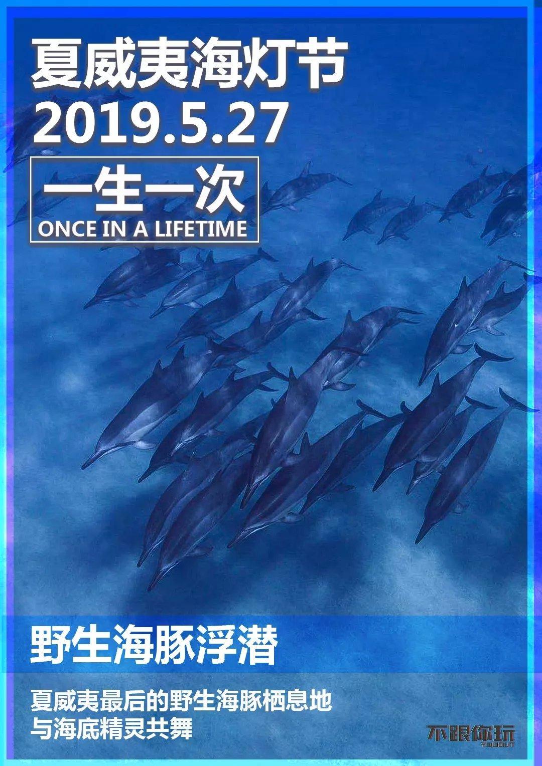 啊!这该死的,让人戒不掉的蓝色鸦片啊——不跟你玩youout