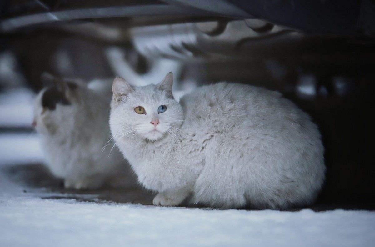 就如同当人落寞的时候,雪中送炭哪怕是一个问候都是暖心的,一个饼子都