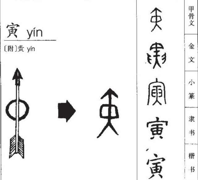 十二地支:子丑寅卯辰巳午未申酉戌亥,到底是什么意思?给你最详细的解读 - 知乎