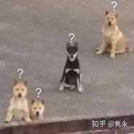 v2-53cf68c83893c236338cd2470e21f5b1_b.jpg