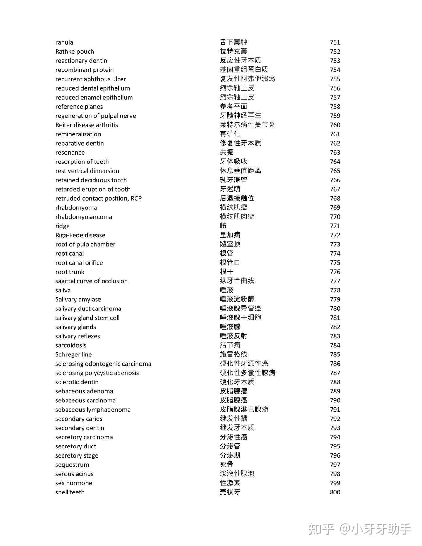 口腔医学英语词汇-口腔基础医学(组织病理,生物,生理,牙体解剖)-A(英文排序) - 知乎