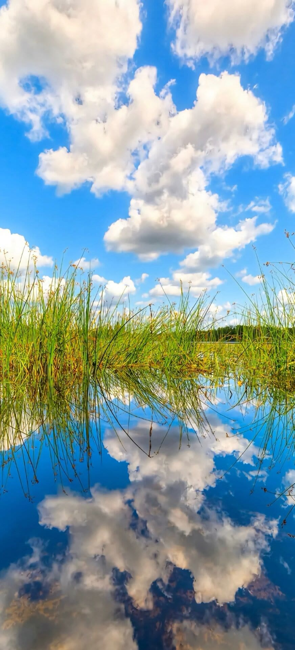 36张绝美风景壁纸 - 知乎