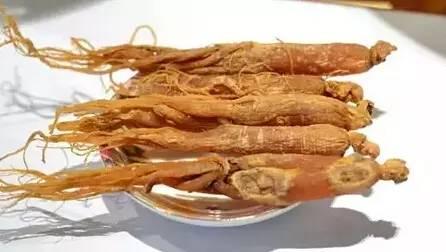 红参的副作用 知乎 红参的副作用 知乎