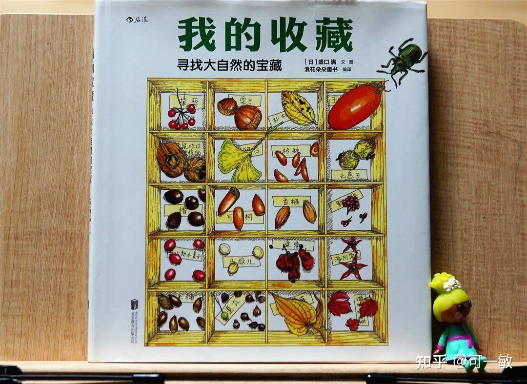 夏日的一天——夏天的书/主题绘本推荐