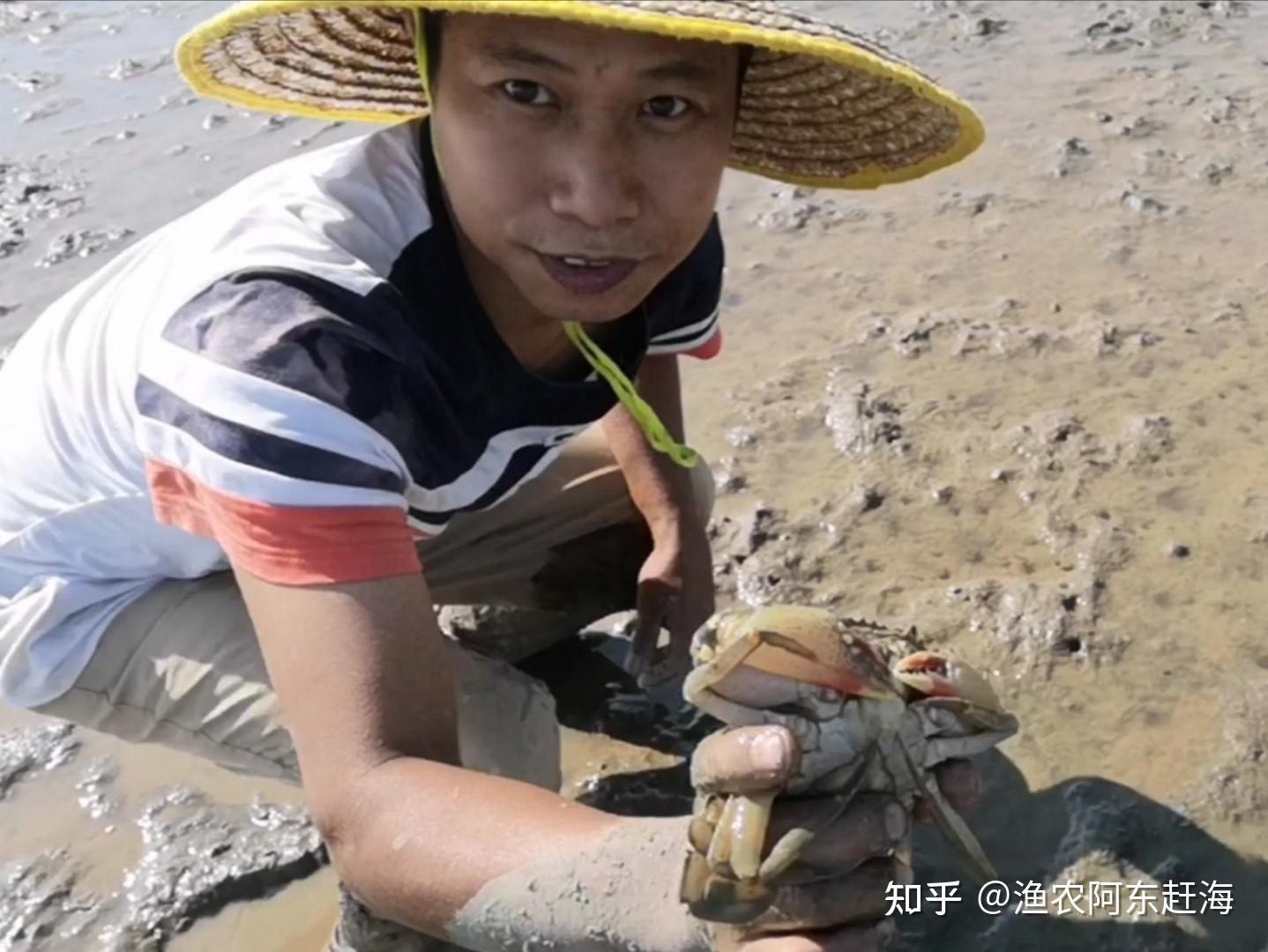 如何发现蟹窝赶海人不轻易传授给别人的技术抓螃蟹很实用