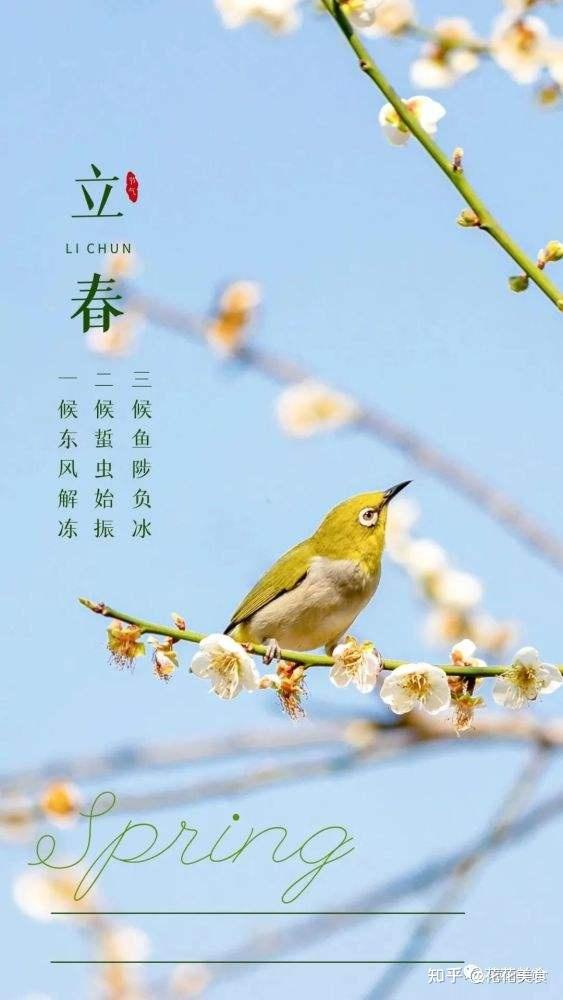 【二十四节气·立春】春意初始 万物更新 - 知乎
