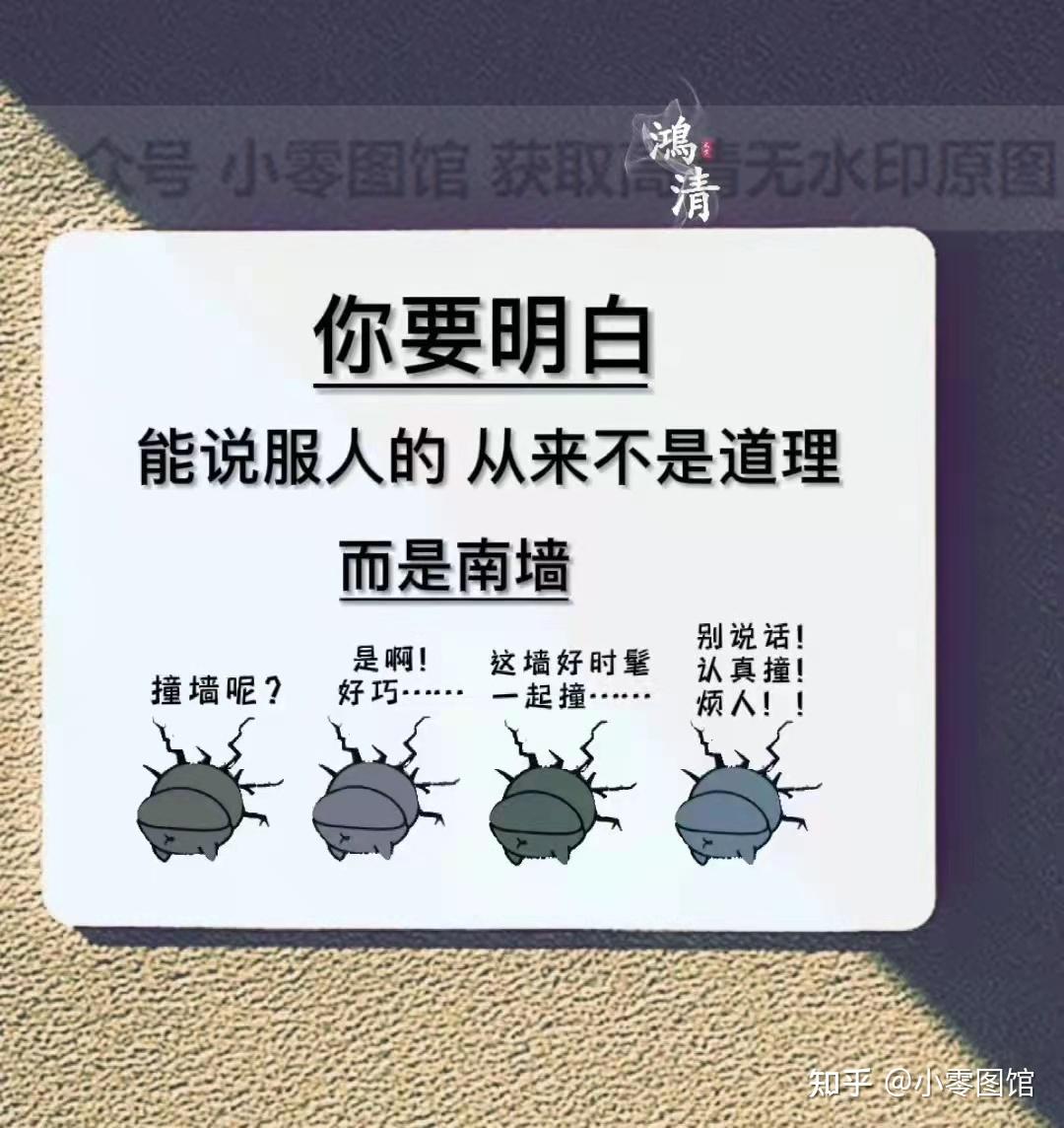 背景图你要明白能说服人的从来不是道理而是南墙