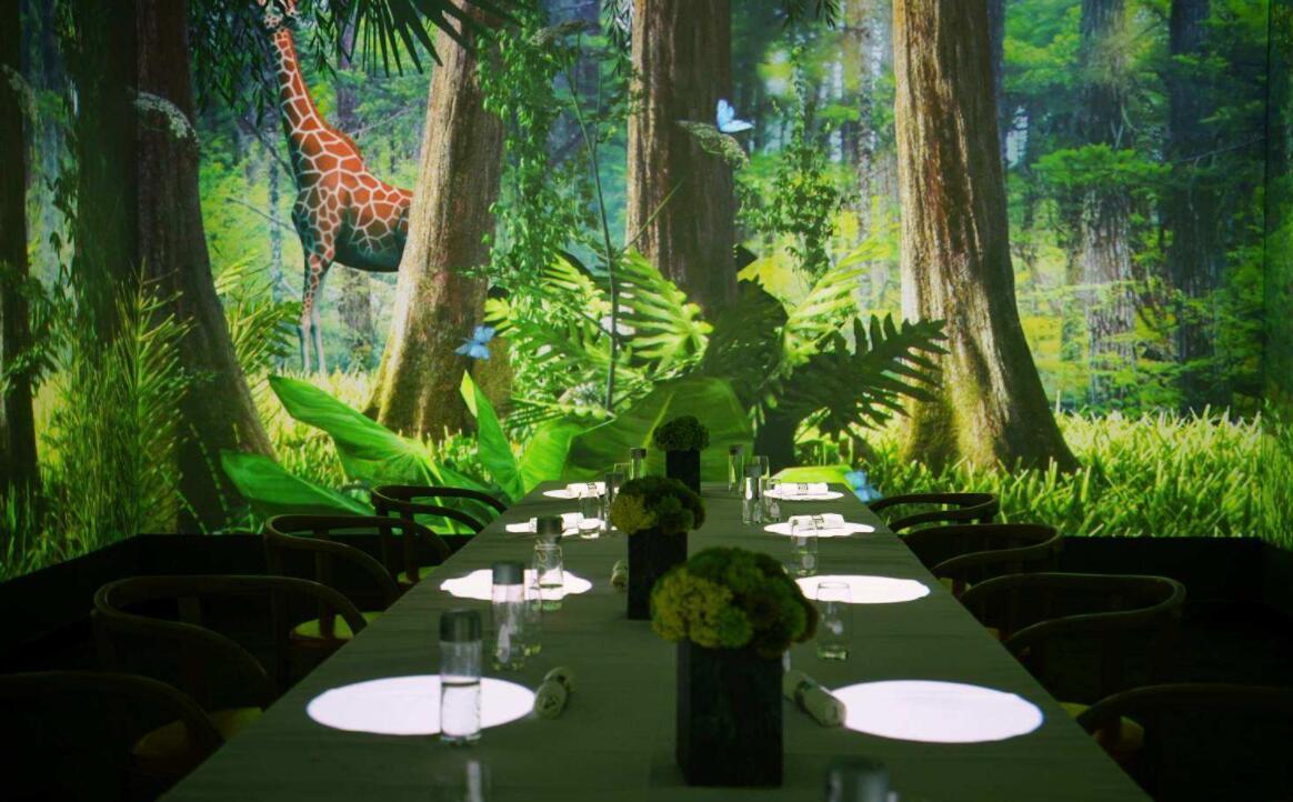 能做裸眼3d全息投影的公司有哪些