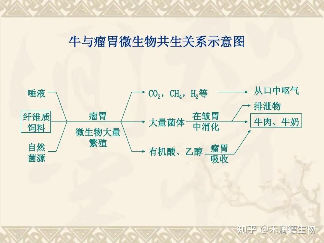 反刍动物日粮精粗比对瘤胃消化的影响 - 知乎