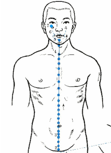 奇经八脉讲解 看完你就懂了 值得收藏 知乎