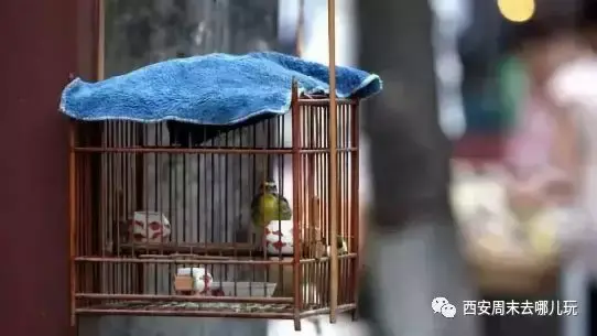 大西安吃喝玩樂:西安這些忒色集市,熙熙攘攘,熱鬧繁華- 中國熱點