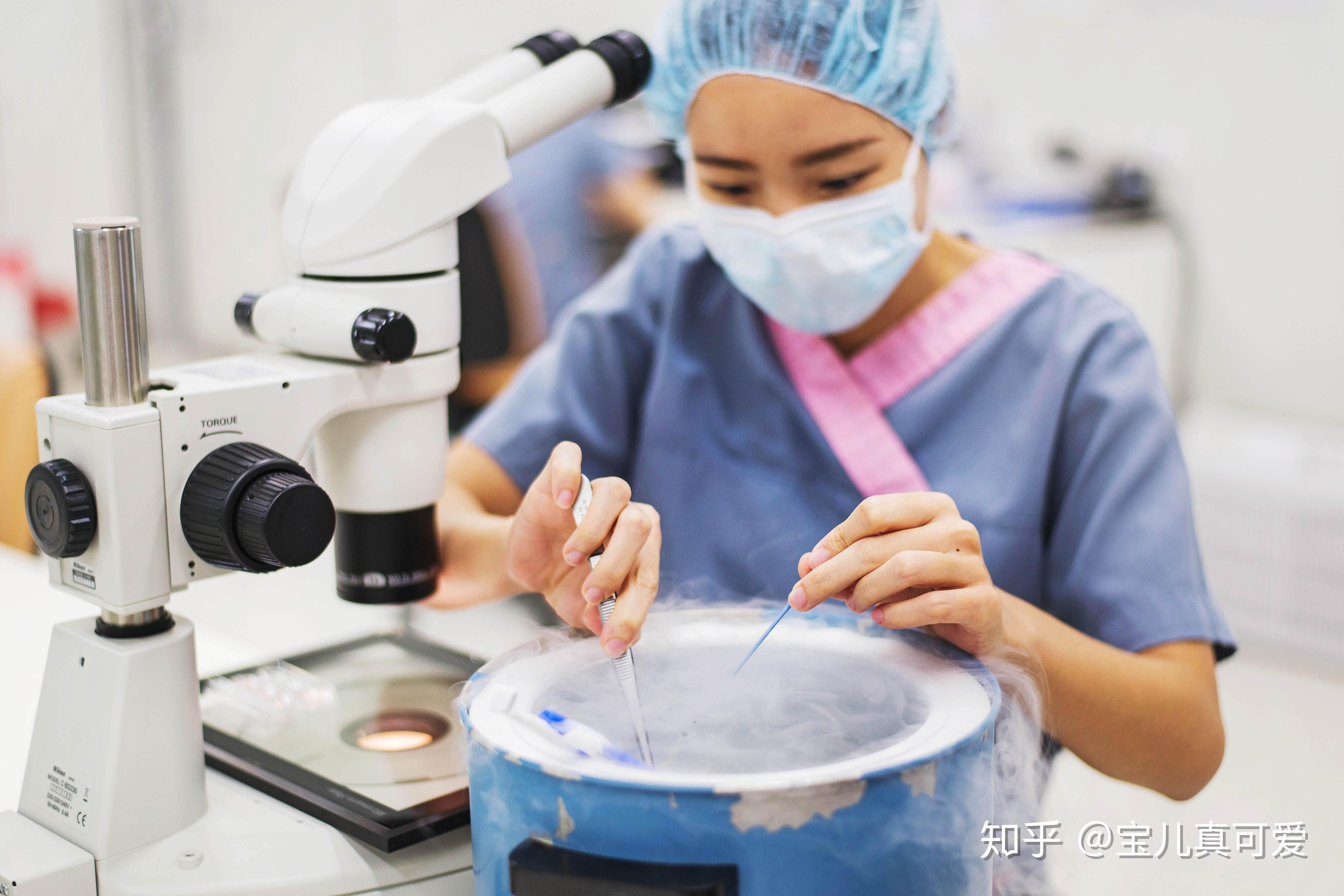 穿刺做试管婴儿成功率(试管婴儿穿刺手术是怎么做的?)-第2张图片-鲸幼网