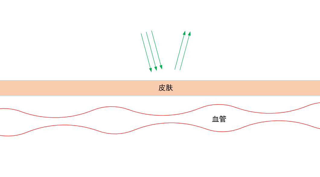 最有效的减脂心率是多少 v2-541a59b59be65514dfefdfab7e031f49_r.jpg
